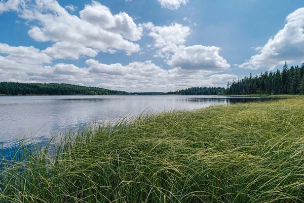 Beautiful Scandinavia Landscape Jizerske Hory Mountain Lake Forest Blue Sky — Stock Photo, Image