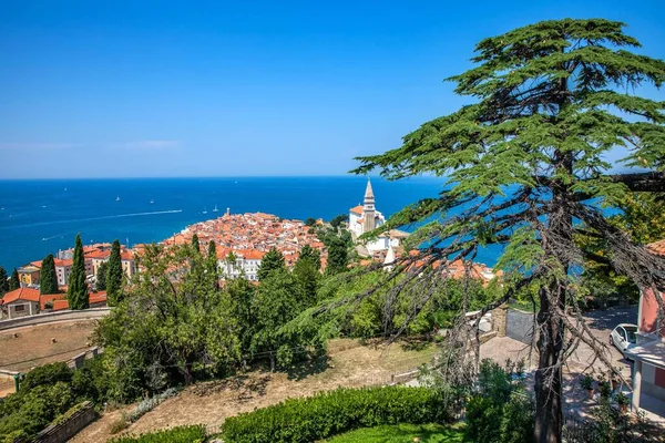 Vista Panorámica Ciudad Piran Eslovenia Sobre Cuerpo Del Mediterráneo — Foto de Stock