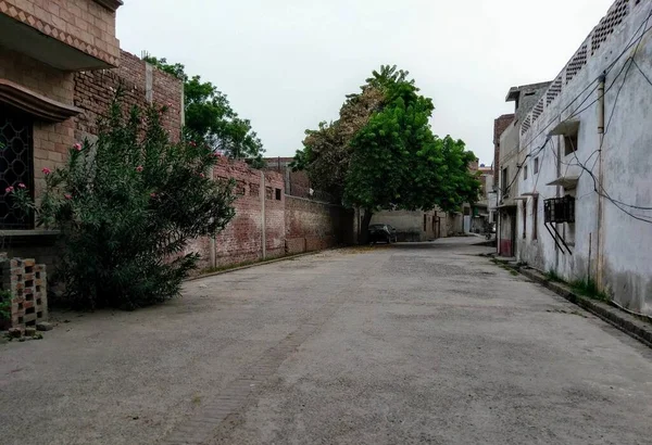 Paysage Vieux Quartier Avec Des Arbres Des Fleurs — Photo