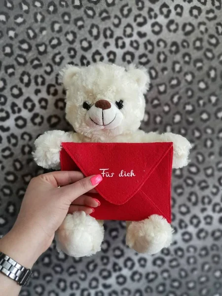 Teddybjörnen Med Kuvert — Stockfoto