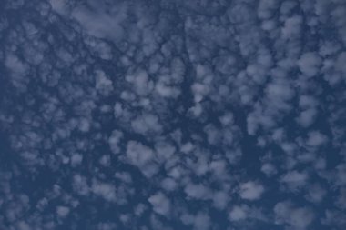 A low angle shot of beautiful cirrocumulus clouds in the blue sky clipart