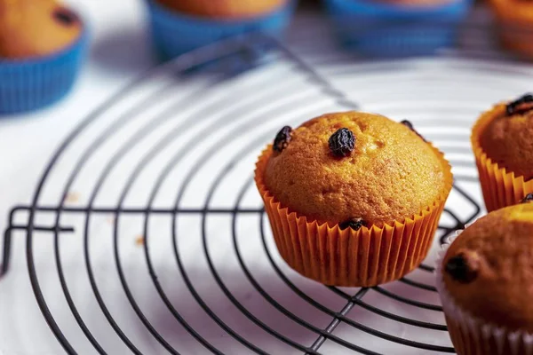 Primer Plano Cupcakes Con Papeles Naranja Azul Sobre Fondo Blanco —  Fotos de Stock