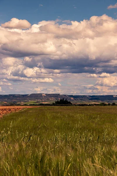 Beautiful Scenery Fluffy Cloud Formations Green Landscape — Stock Photo, Image