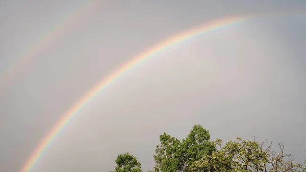 Ein Doppelter Regenbogen Über Bäumen Und Gegen Einen Nebligen Himmel — Stockfoto