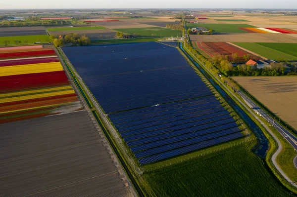 Een Luchtfoto Van Het Nederlandse Landbouwlandschap Met Groene Velden Tulpenvelden — Stockfoto