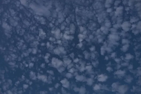 Tiro Ângulo Baixo Belas Nuvens Cirrocumulus Céu Azul — Fotografia de Stock