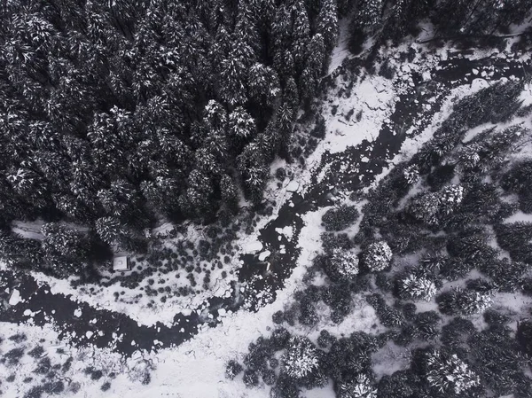 Una Foto Aerea Dei Bellissimi Pini Innevati Nella Foresta — Foto Stock