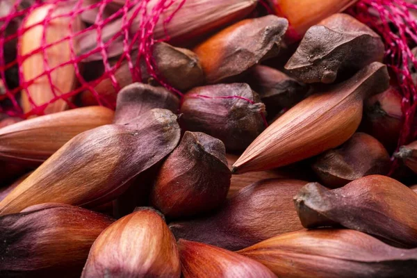 Gros Plan Des Oignons Rouges Échalote Isolés Sur Fond Noir — Photo