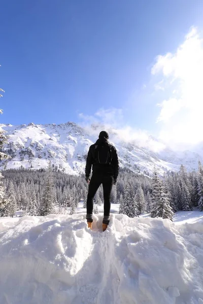 Vertikal Bild Person Som Står Snöhög Omgiven Klippiga Berg Dagen — Stockfoto