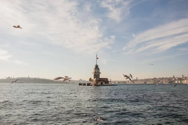 Veduta Faro Mezzo Mare Una Giornata Limpida Con Uccelli Marini — Foto Stock