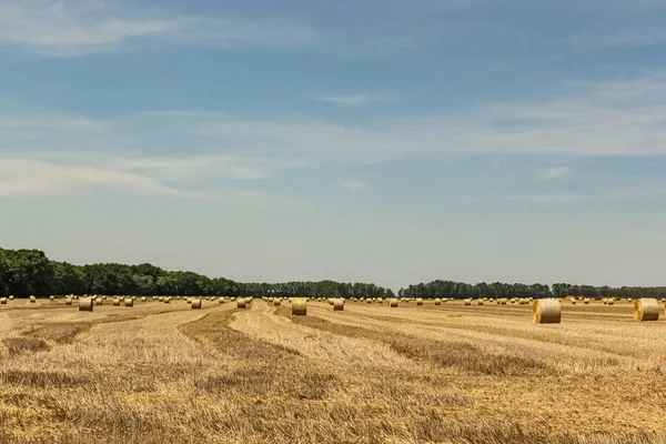 Széna Gurul Mezőn Egy Vidéki Területen — Stock Fotó