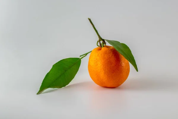 Closeup Shot Orange Leaves Isolated White Background — Stock Photo, Image