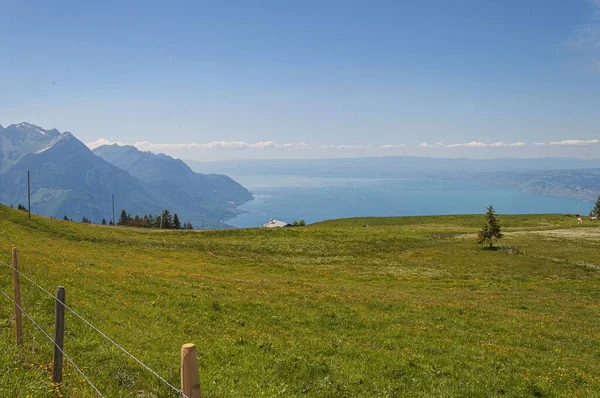 Lavaux Sviçre Nin Panoramik Manzarası Çitli Yeşil Çimenli Seyahat Blogu — Stok fotoğraf