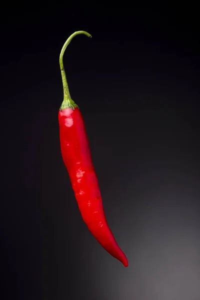 Close Uma Pimenta Vermelha Fresca Quente Isolada Fundo Preto — Fotografia de Stock