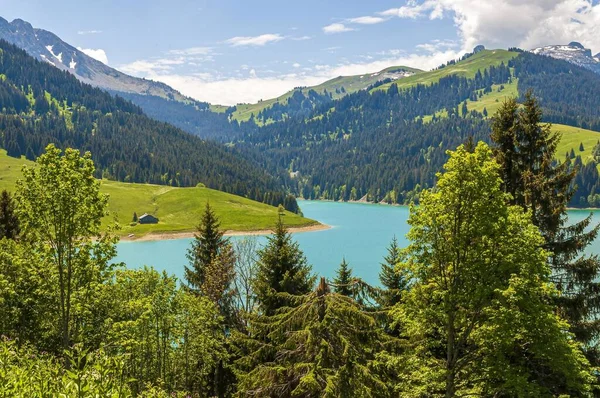 Una Splendida Vista Lago Circondato Montagne Longrin Lago Diga Svizzera — Foto Stock