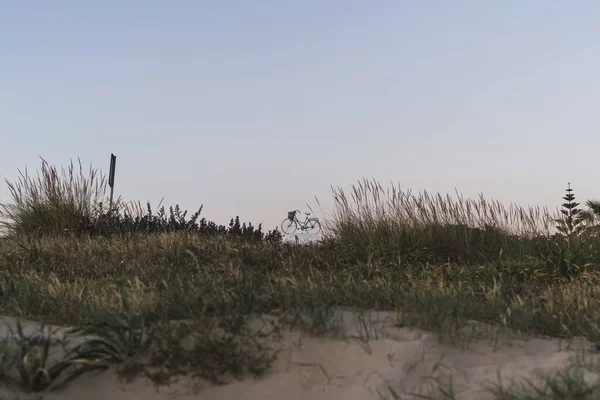 Einige Gräser Auf Sandigem Untergrund Und Ein Blaues Fahrrad Der — Stockfoto