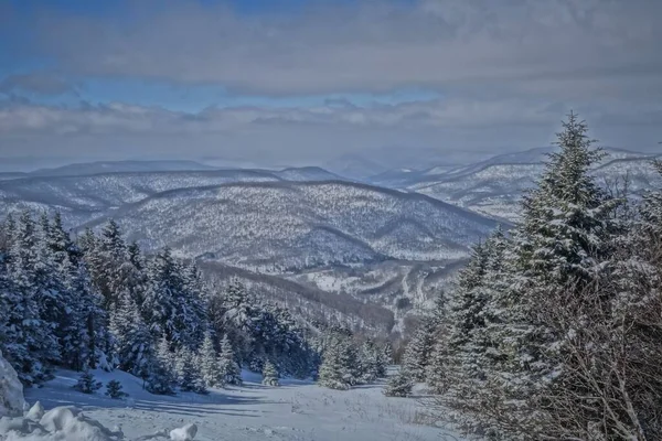 Poziomy Strzał Snowscape Wgl Szczytu Snowshoe Mountain Umieszczony Zachodniej Wirginii — Zdjęcie stockowe