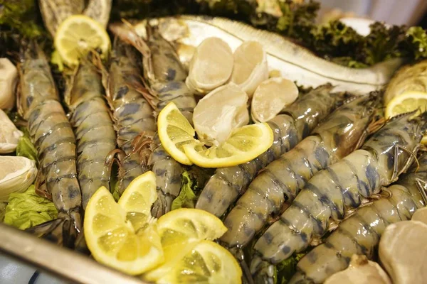 用虾仁 鱼和柠檬做的一道美味菜的特写镜头 — 图库照片