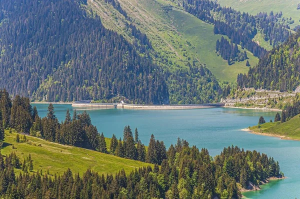 Una Splendida Vista Lago Circondato Montagne Longrin Lago Diga Svizzera — Foto Stock