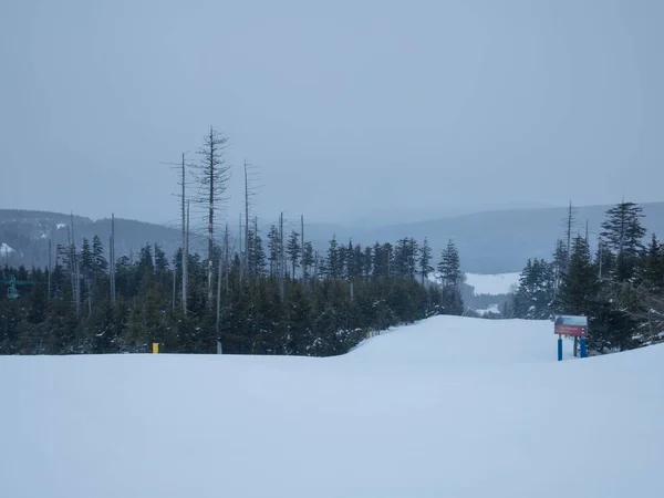 Plan Horizontal Paysage Neige Pris Sommet Snowshoe Mountain Snowshoe Ski — Photo