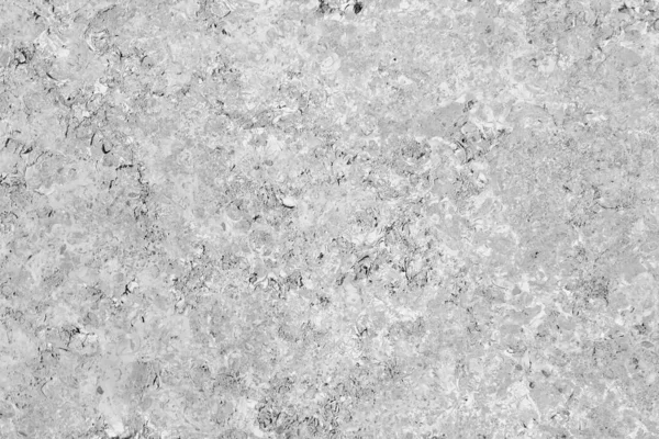 背景の灰色のコンクリート表面のクローズアップショット — ストック写真