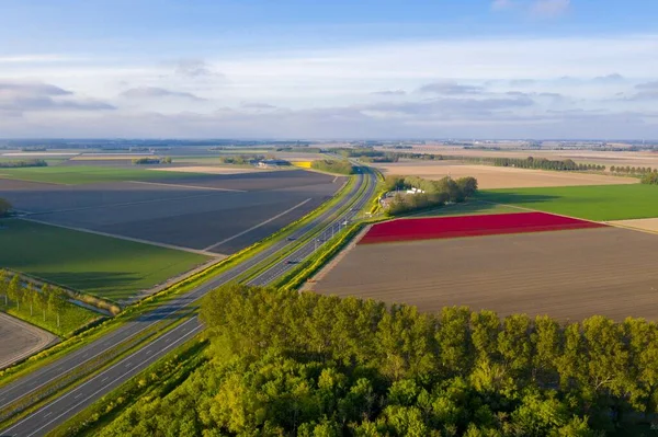 Een Luchtfoto Van Het Nederlandse Landbouwlandschap Met Groene Velden Tulpenvelden — Stockfoto