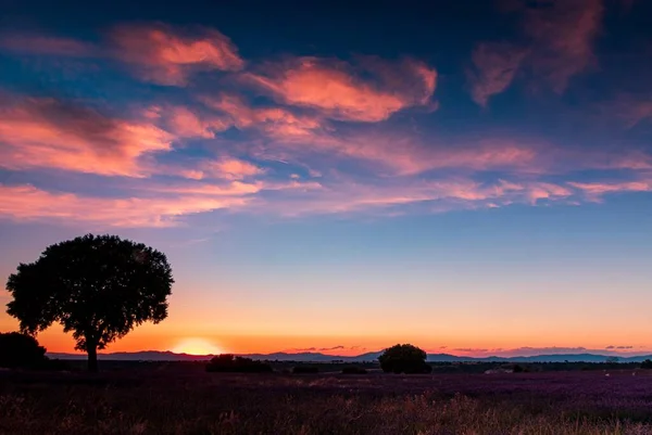 Bellissimo Paesaggio Tramonto Prateria Con Nuvole Tonalità Rosa — Foto Stock