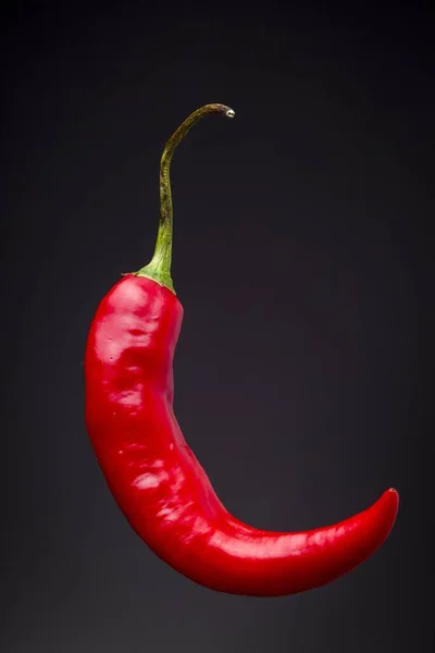 Close Uma Pimenta Vermelha Fresca Quente Isolada Fundo Preto — Fotografia de Stock