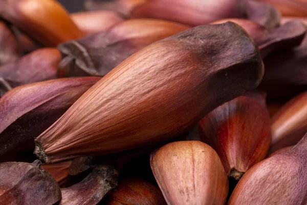 Een Close Shot Van Franse Rode Sjalot Uien Geïsoleerd Zwarte — Stockfoto