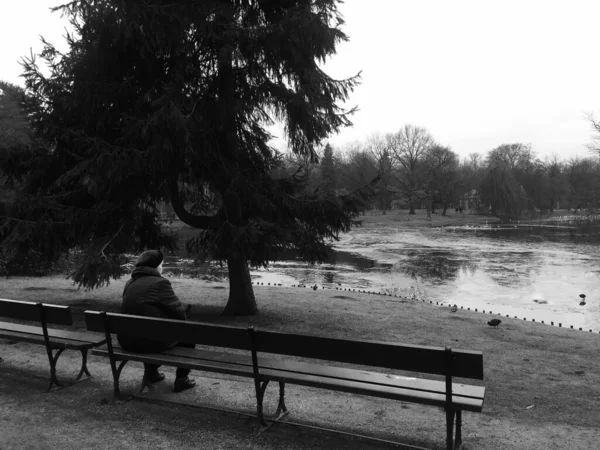 Tiro Greyscale Uma Pessoa Casaco Sentado Banco Parque Inverno Conceito — Fotografia de Stock