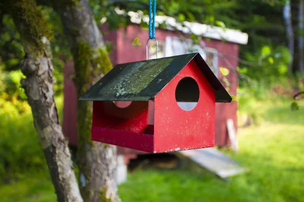 背後に赤い木の小屋のある木から吊るされた銅赤い鳥の巣 — ストック写真