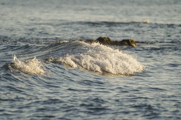 强大的海浪冲击着海里的岩石 — 图库照片