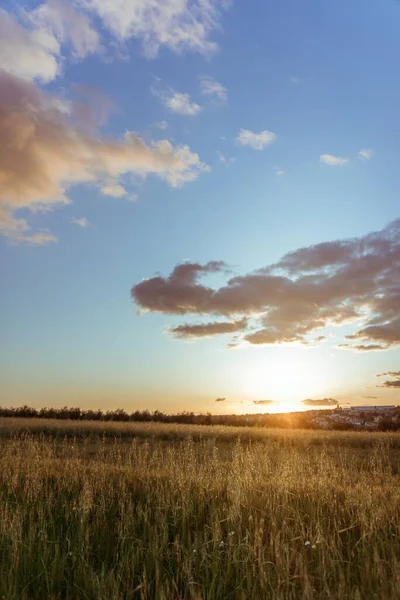 Une Image Verticale Champ Brun Avec Des Rayons Soleil Couchant — Photo