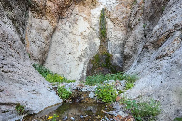 Nevada Nye County Nevada United States Jun 2020 石墙瀑布 一个一年四季的瀑布 — 图库照片