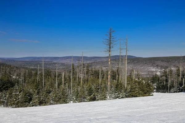 Şubat Ayında Batı Virginia Daki Snowshoe Kayak Merkezinde Kar Ayakkabısı — Stok fotoğraf