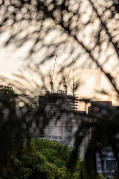 Miejski Obraz Niedokończonego Budynku Przez Liście Zielony Pokazuje Perspektywę Której — Zdjęcie stockowe