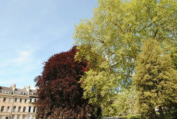 Bah イギリス 2020年5月4日 Jame Square Bath England 広場には45階建ての建物が並んでいます — ストック写真