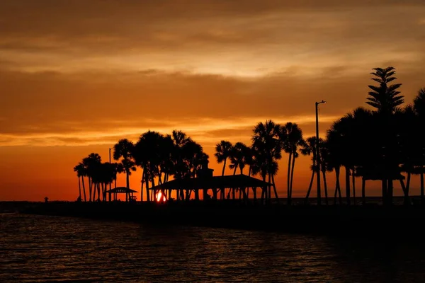 Soleil Brillant Nourrissant Les Nuages Couleur Sur Cette Silhouette Tampa — Photo