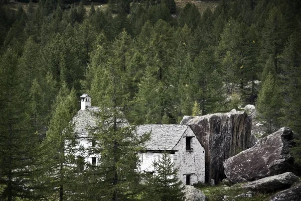 Antiguo Edificio Blanco Rodeado Árboles Campo Durante Día Perfecto Para — Foto de Stock