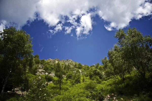 Okouzlující Scenérie Krásných Hor Pod Malebnou Zamračenou Oblohou — Stock fotografie