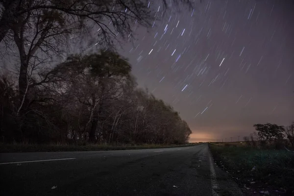 Vista Ipnotizzante Del Cielo Stellato Notturno Degli Alberi Lungo Strada — Foto Stock