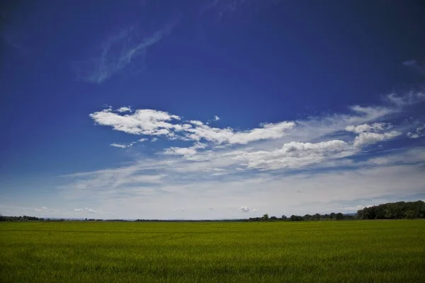 Eine Faszinierende Aufnahme Der Wunderschönen Landschaft Einer Grünen Wiese — Stockfoto