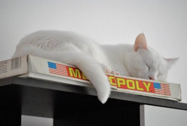White angel sleeping on boardgames clipart