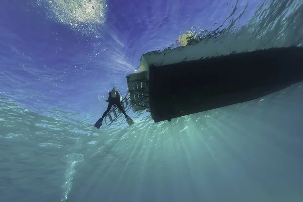 다이빙 사다리에서 지느러미를 제거하는 잠수부 — 스톡 사진