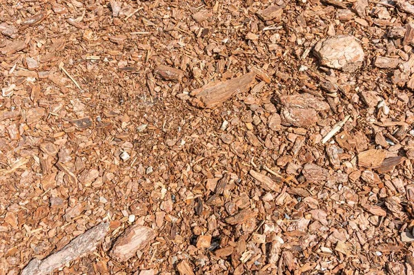 High Angle Shot Ground Covered Small Wooden Cuttings — Stock Photo, Image