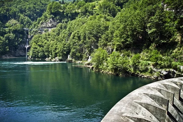 Ein Faszinierender Blick Auf Den Ruhigen Fluss Inmitten Grüner Bäume — Stockfoto