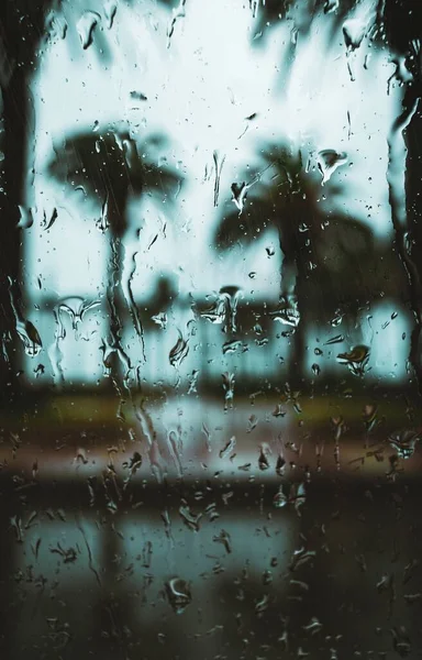 Glass Droplets Some Blurred Palm Trees Its Other Side — Stock Photo, Image