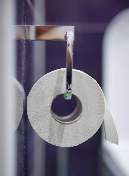 A white toilet paper roll on a metal holder on a wall