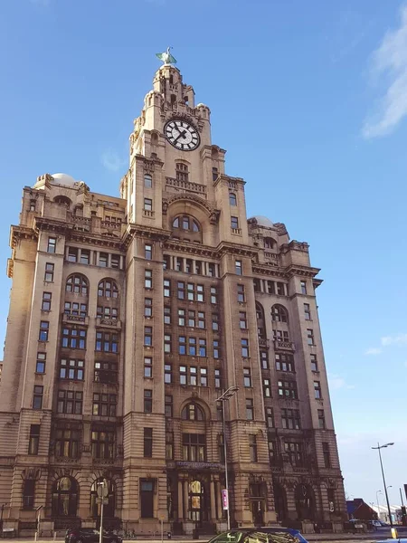 Plano Vertical Del Royal Liver Building Liverpool Reino Unido — Foto de Stock