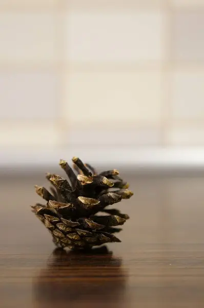 Een Close Verticaal Schot Van Een Dennenappel Een Houten Tafel — Stockfoto